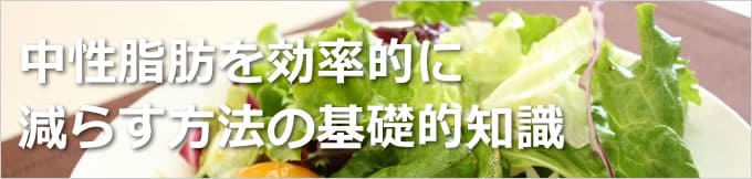 中性脂肪を効率的に減らす方法の基礎的知識